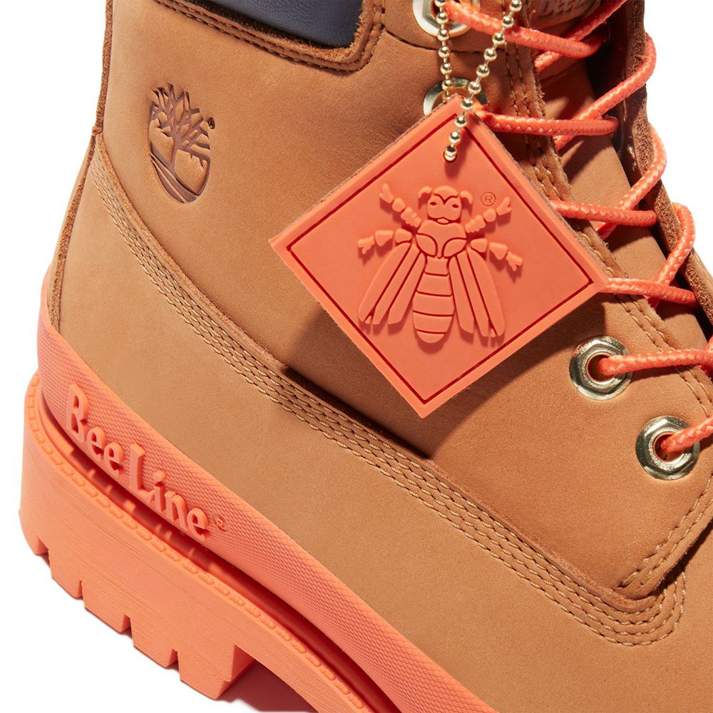 Botas Masculino - Timberland 6-Inch Bee Line X Impermeavel Rubber Toe - WIRTS3245 - Marrom/Laranja